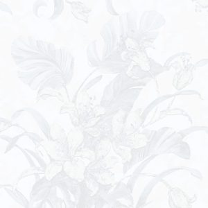 Sheima Erva 22702 Duvar Kağıdı (16,5m2)